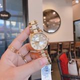 Đồng hồ Michael Kors Ladies watch MK6601