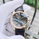 Omega Seamaster Aqua Terra Annual Calendar Day-Month Demi 18K Rose Gold 231.23.39.22.06.001