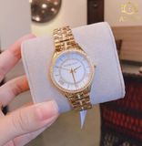 Đồng hồ Michael Kors Ladies watch MK3899