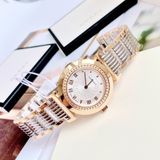 Đồng hồ nữ Versace Vanity rose gold ion plated stainless steel watch 35mm P5Q80D499 S089