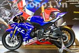  Mô hình xe cao cấp Honda CBR1000RR F.C.D TSR France 2020 1:12 Tamiya D097D 