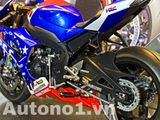  Mô hình xe cao cấp Honda CBR1000RR F.C.D TSR France 2020 1:12 Tamiya D097D 