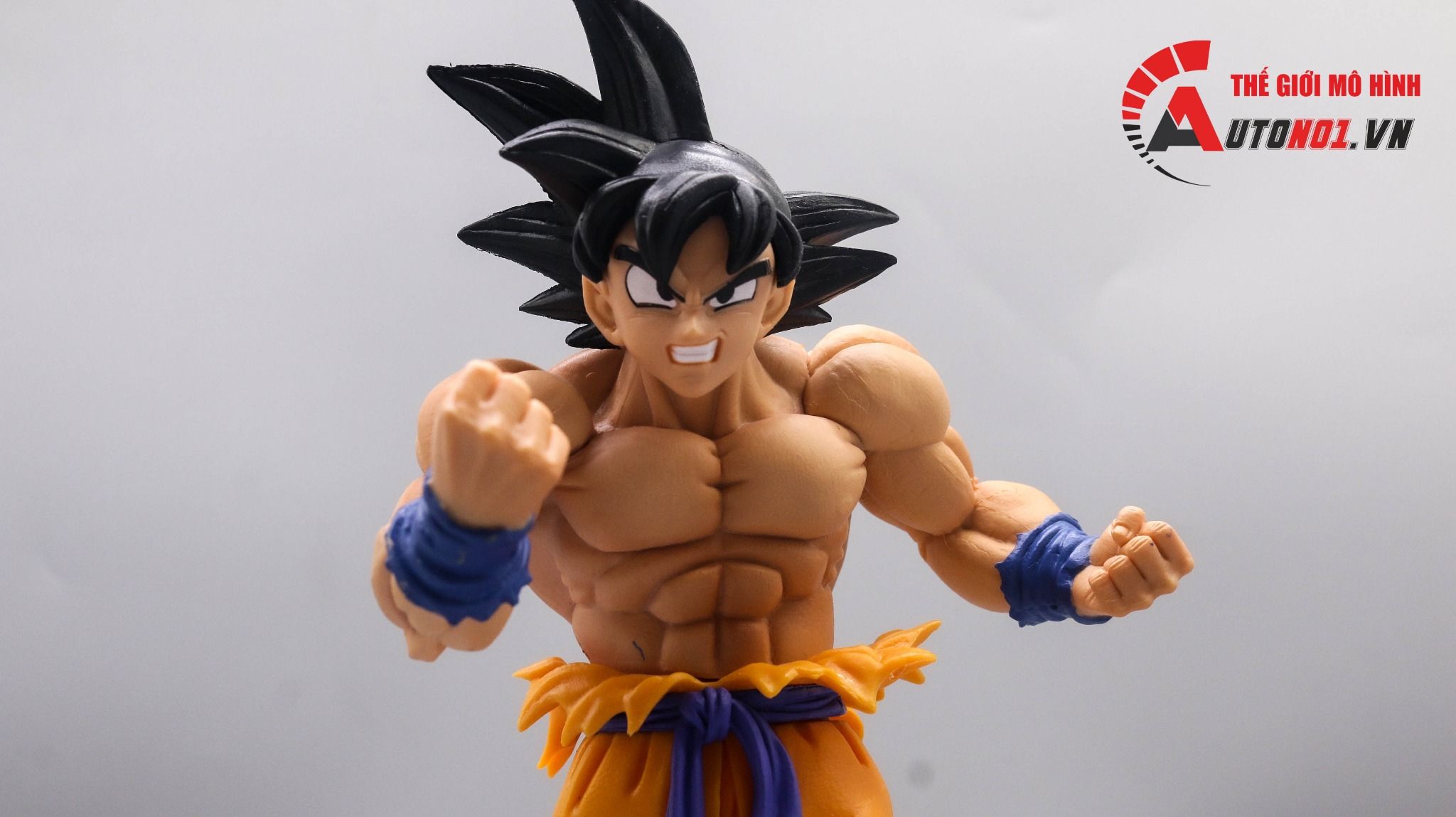  Mô hình nhân vật Dragonball Songoku 25cm Fg021 