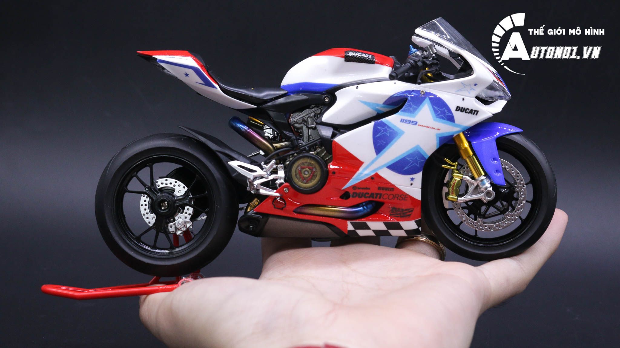 Mô hình xe cao cấp Ducati 1199 Panigale Custom Decal Nicky Hayden 69 1:12 Tamiya D065