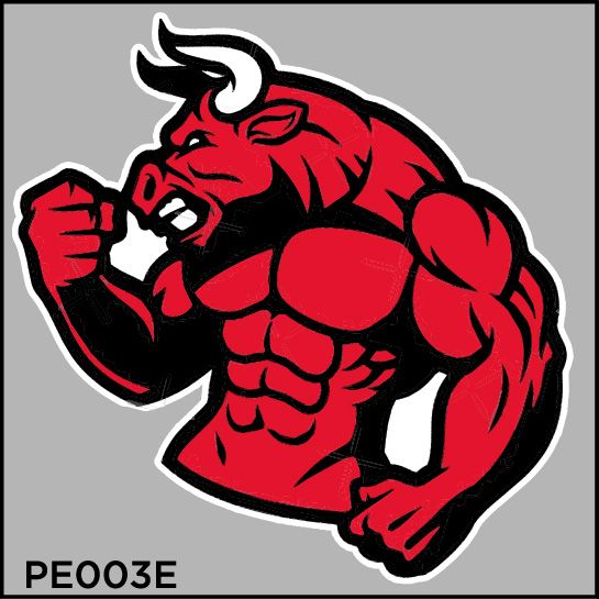 Sticker PET in chuyển nhiệt - hình ủi lên vải - nón - áo - quần Red bull Autono1 PE003