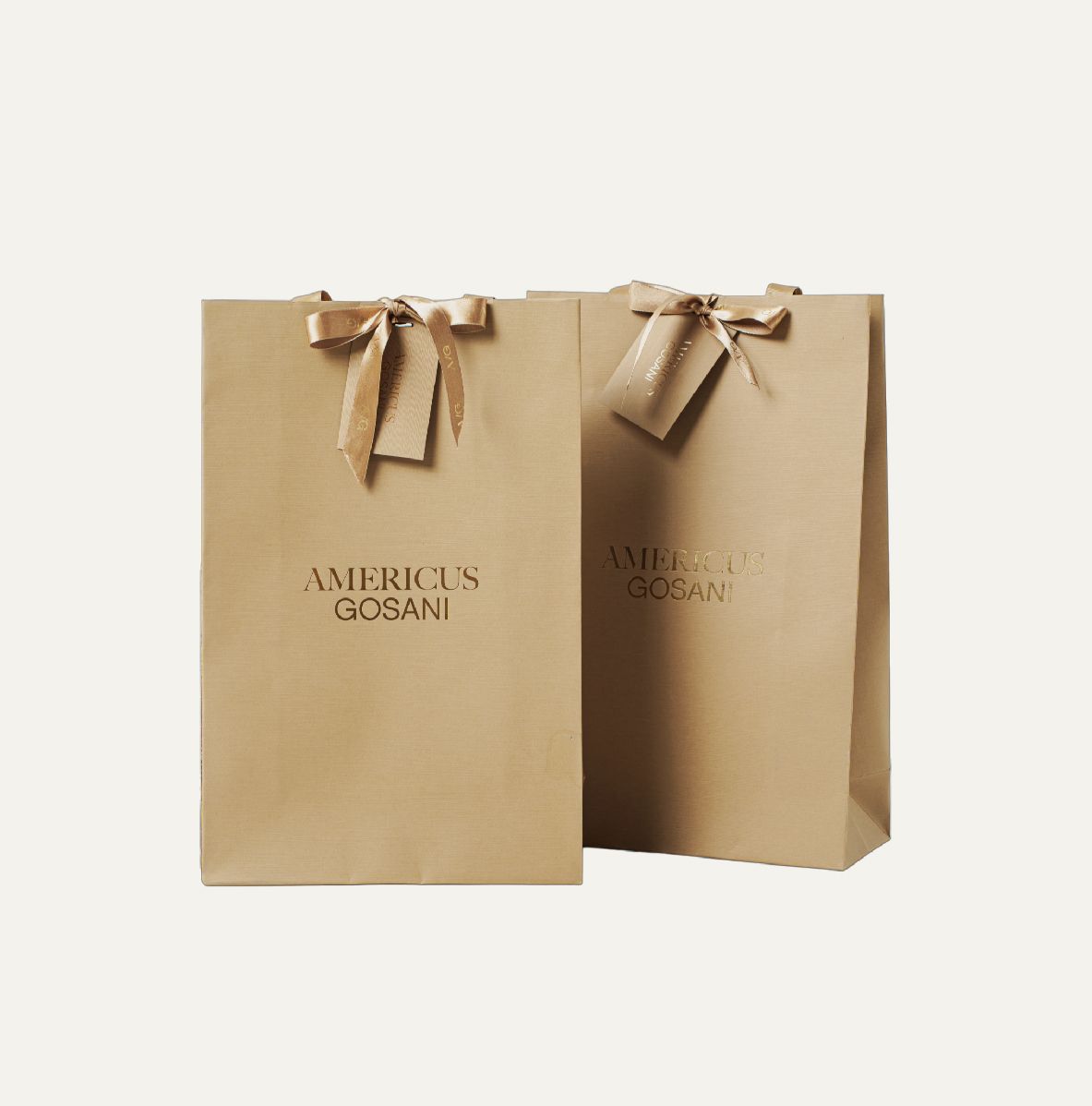  A/G PREMIUM GIFT BAG 