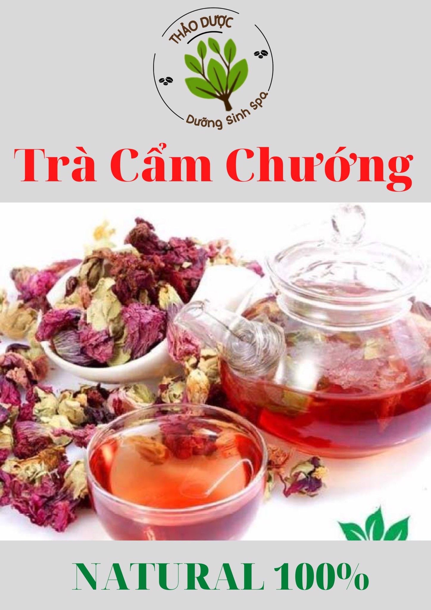 Cẩm Chướng