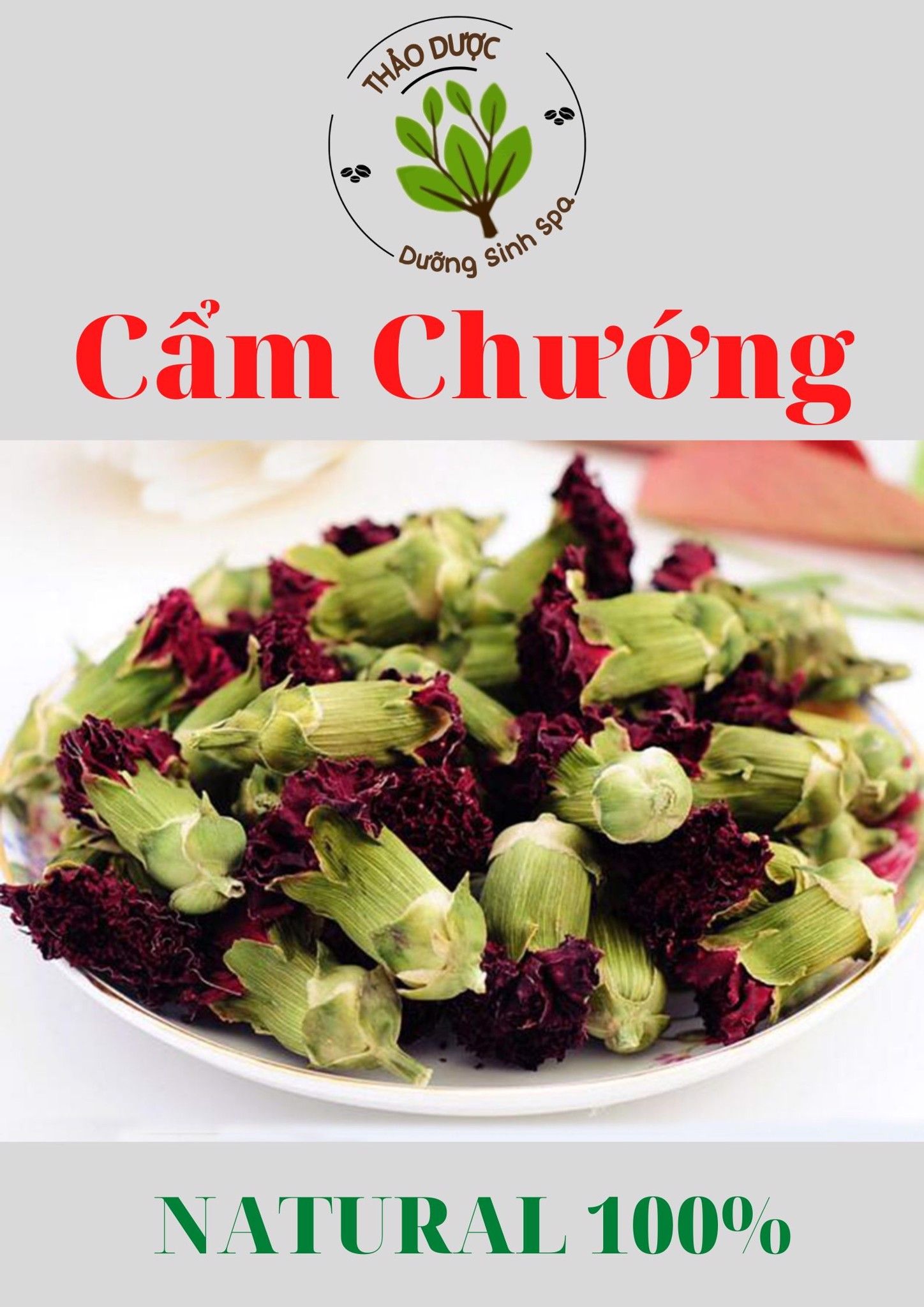 Cẩm Chướng