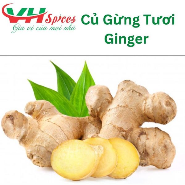 Gừng Ginger Gia Vị Việt