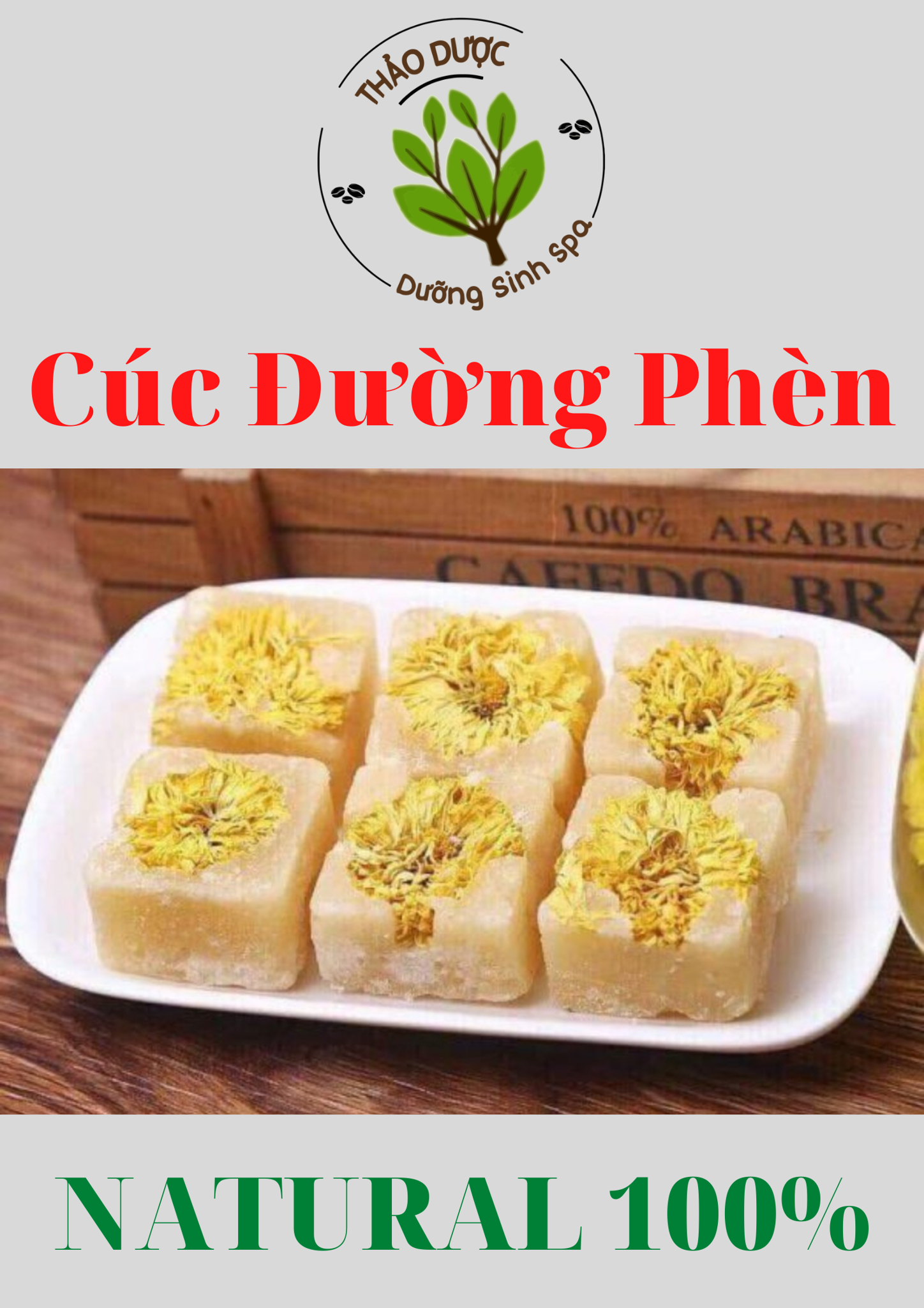 Cúc Đường Phèn