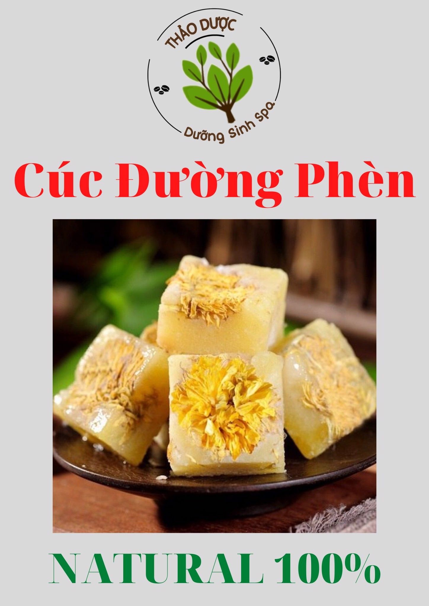 Cúc Đường Phèn
