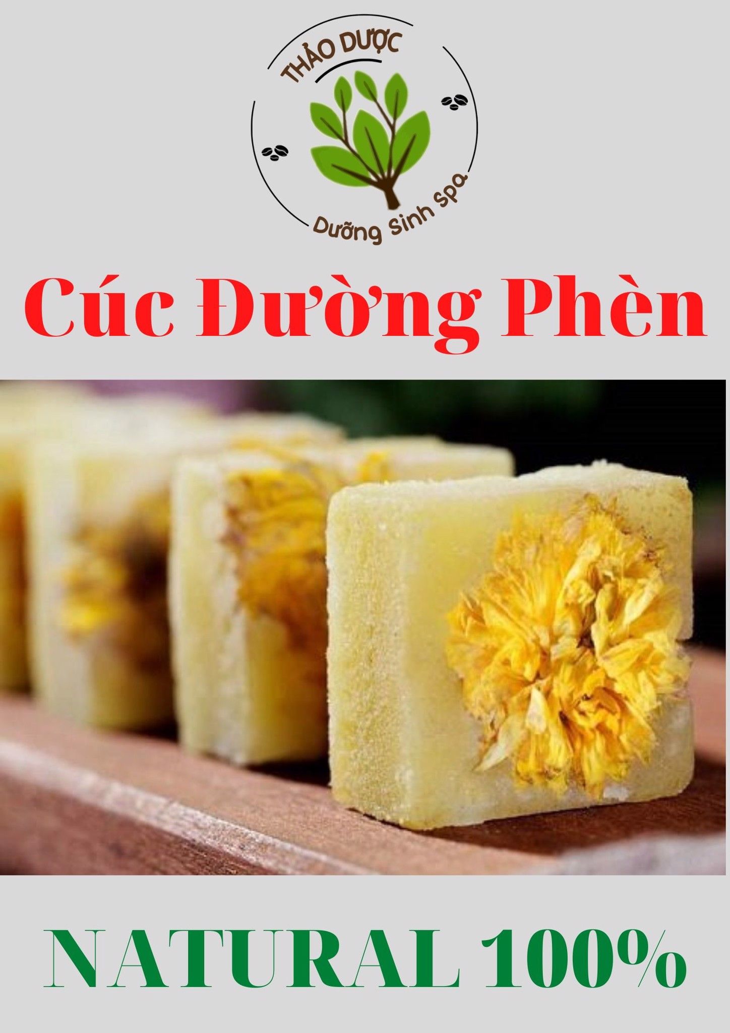Cúc Đường Phèn