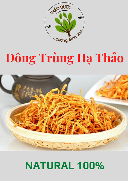 Đông Trùng Hạ Thảo