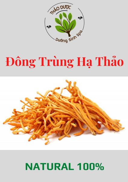 Đông Trùng Hạ Thảo