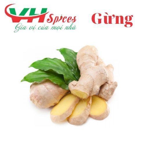 Gừng Ginger Gia Vị Việt