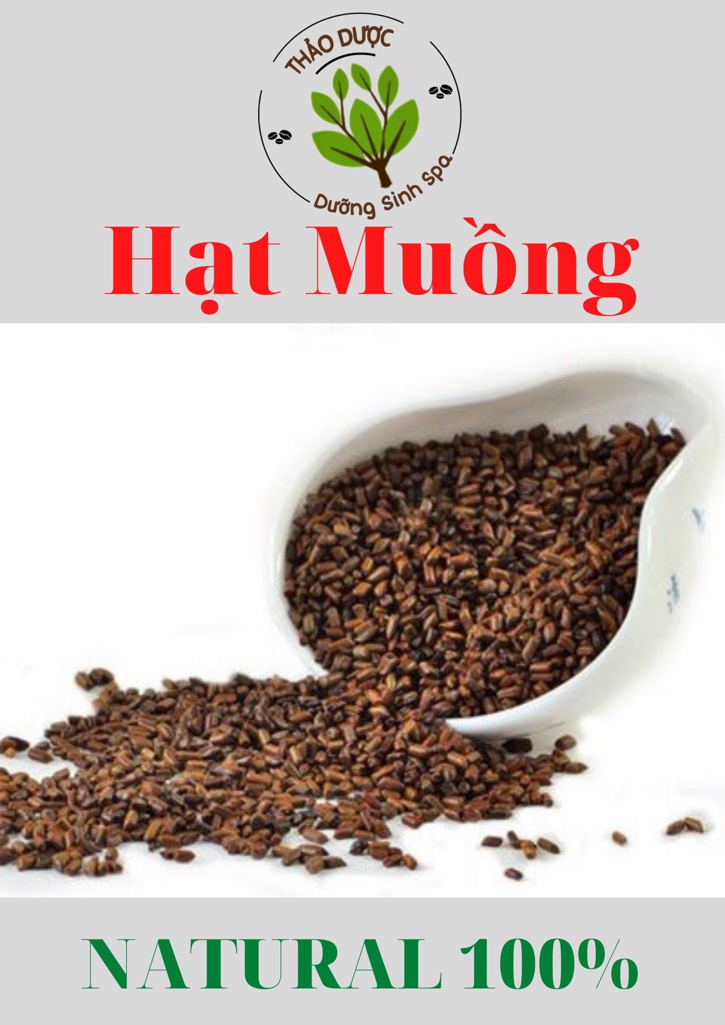 Trà Hạt Muồng - Thảo Quyết Minh
