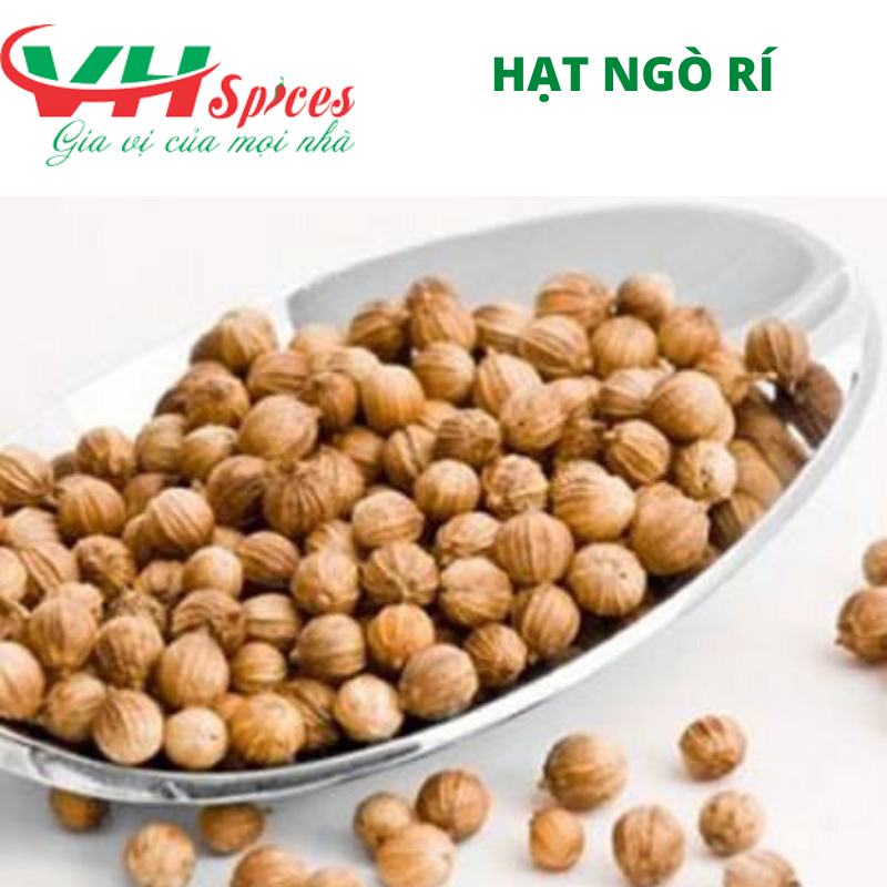Hạt Ngò - Hạt Mùi