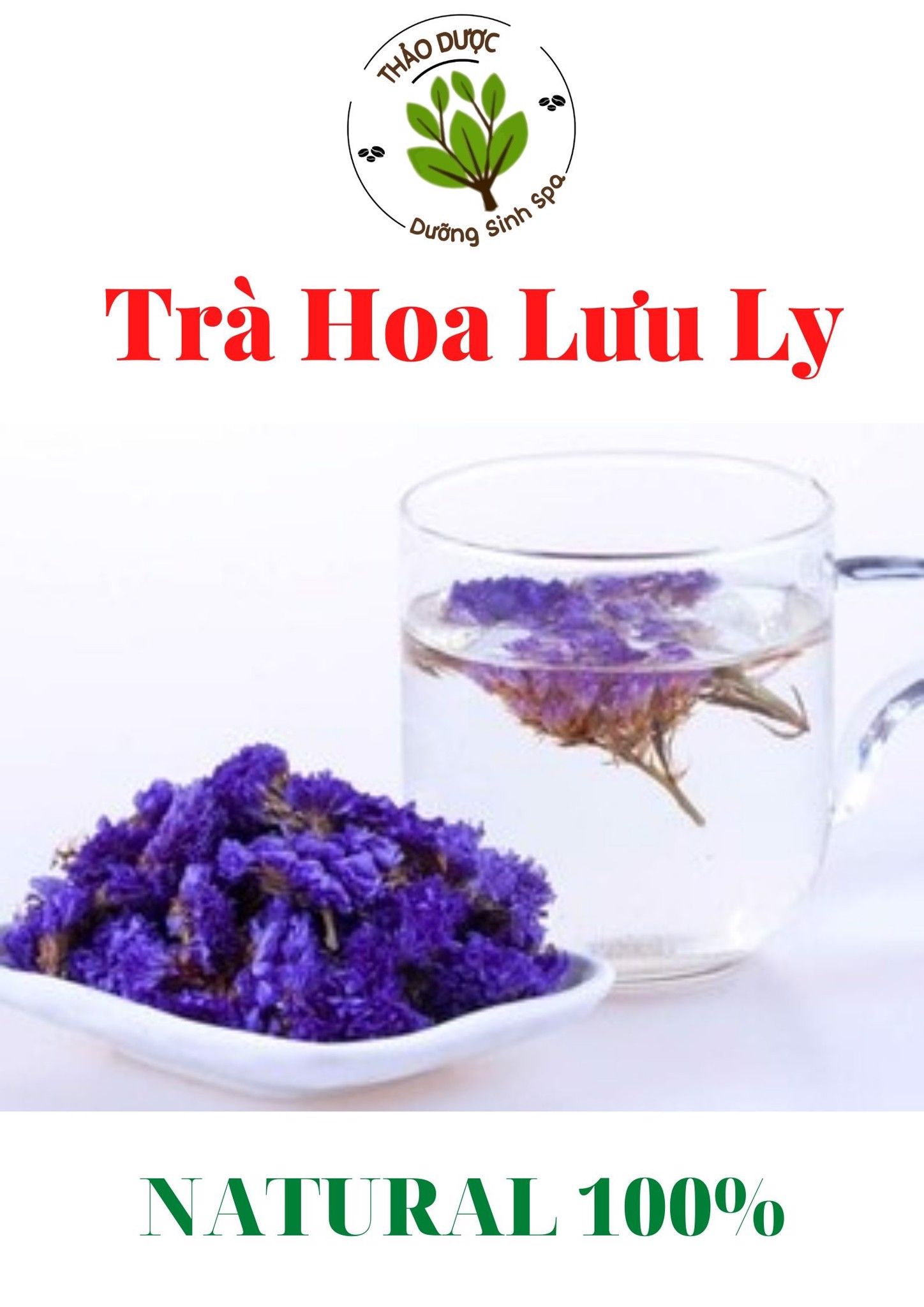 Hoa Lưu Ly