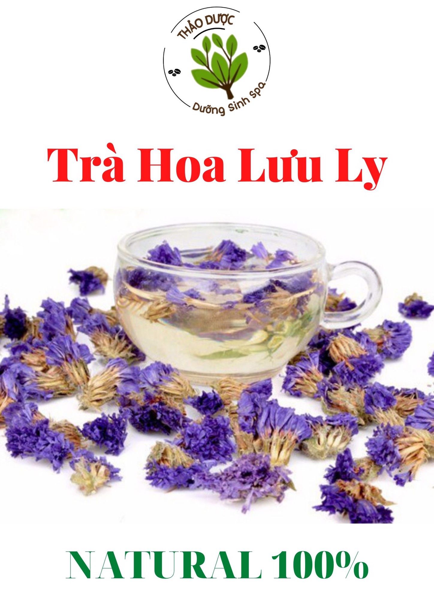 Hoa Lưu Ly