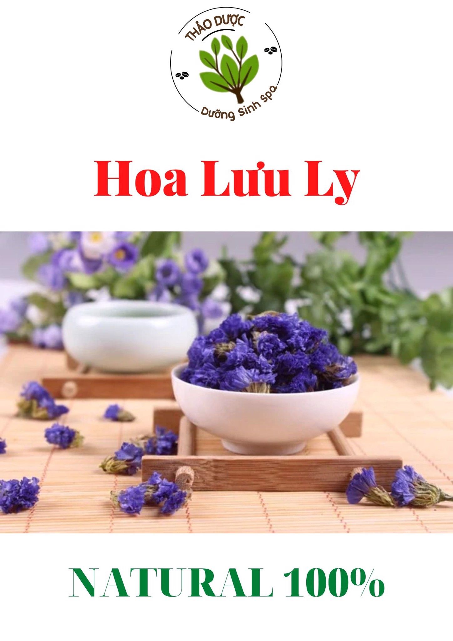 Hoa Lưu Ly