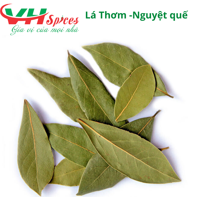 Lá Nguyệt Quế
