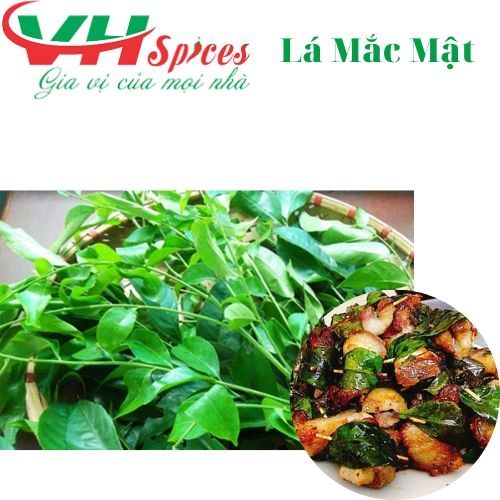 Lá Mắc Mật