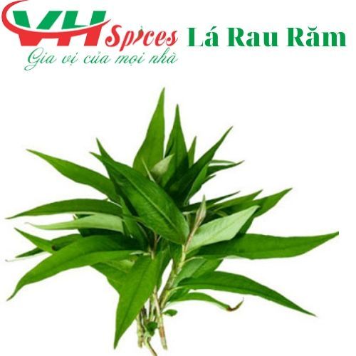 Lá Rau Răm Gia Vị Việt