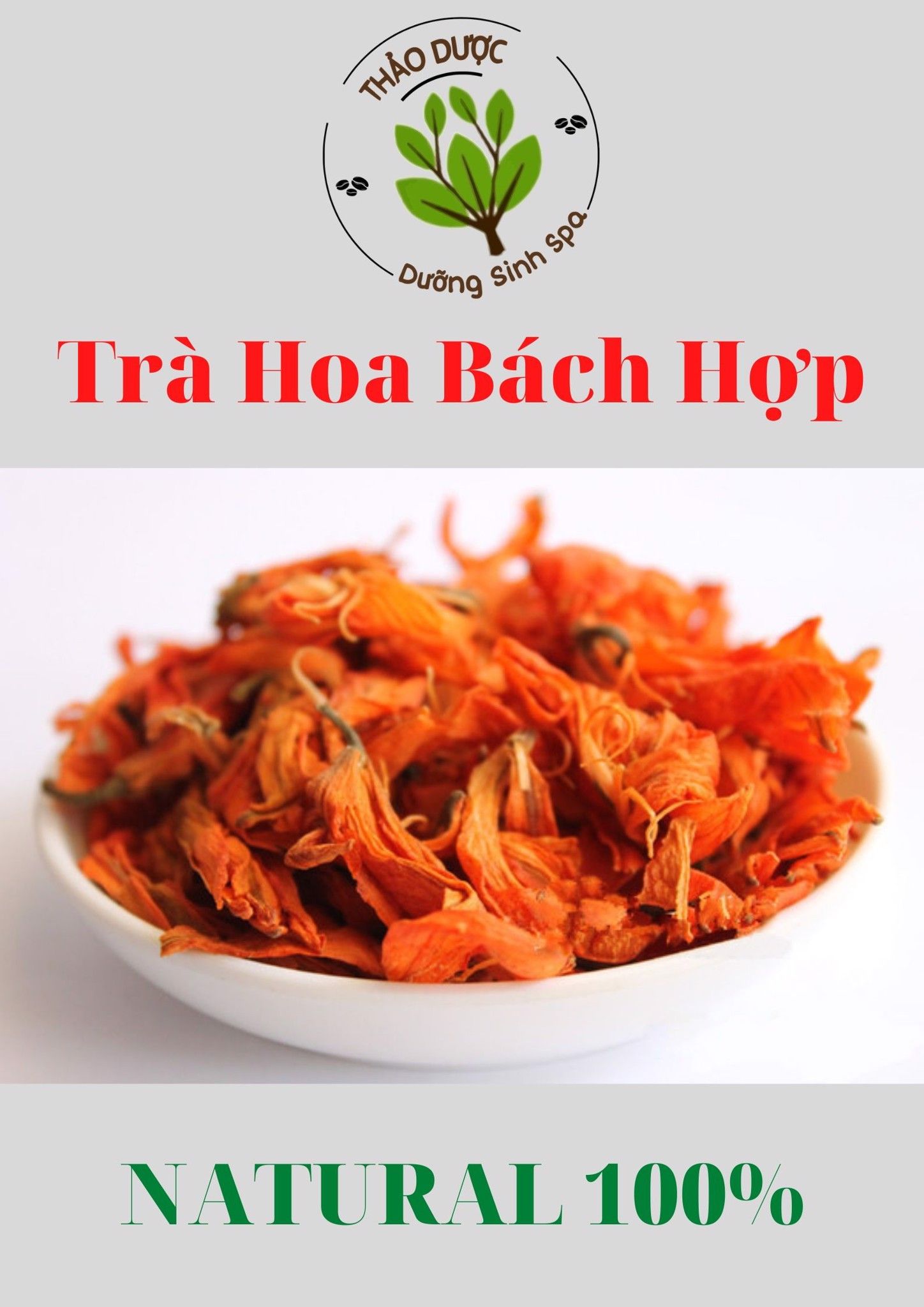 Trà Bách Hợp