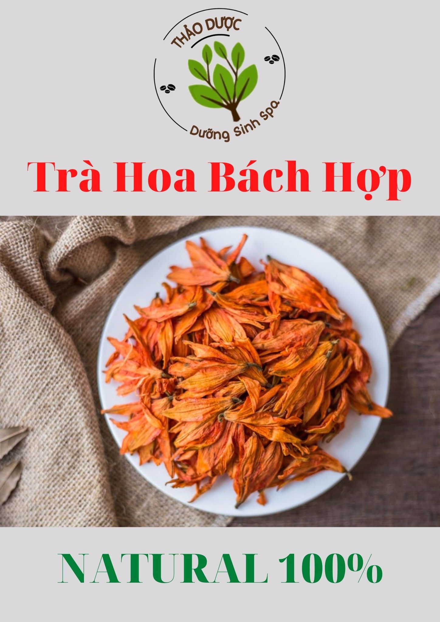 Trà Bách Hợp