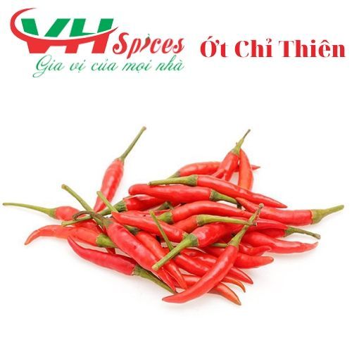 Ớt Trái Chỉ Thiên Tươi