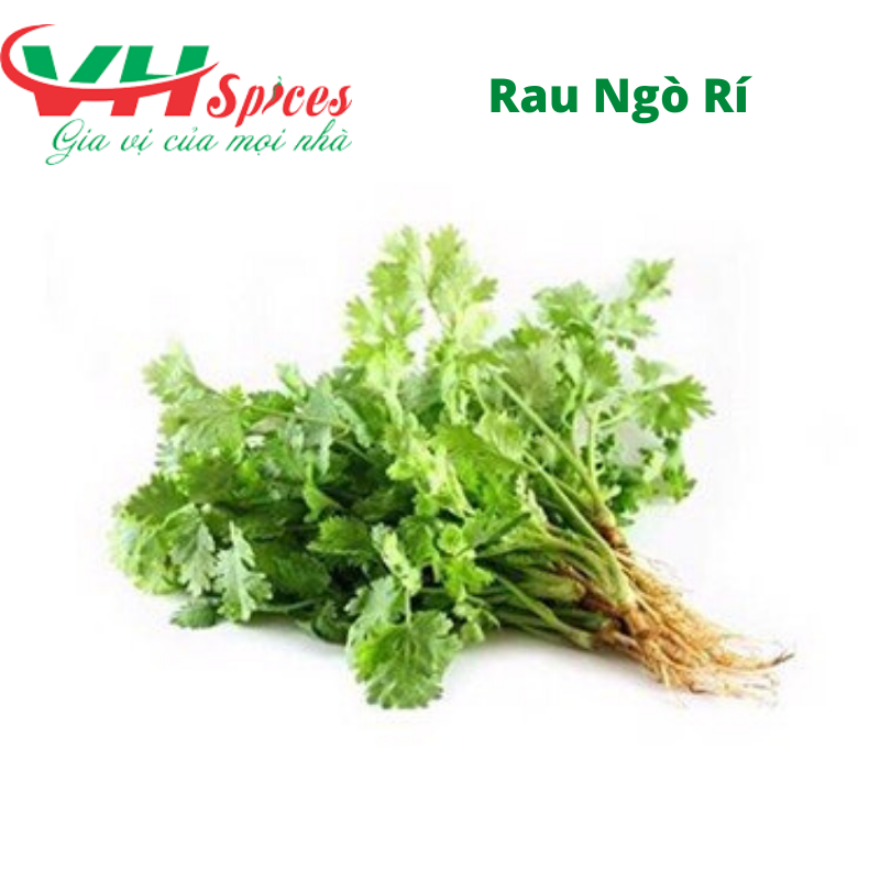 Ngò Rí