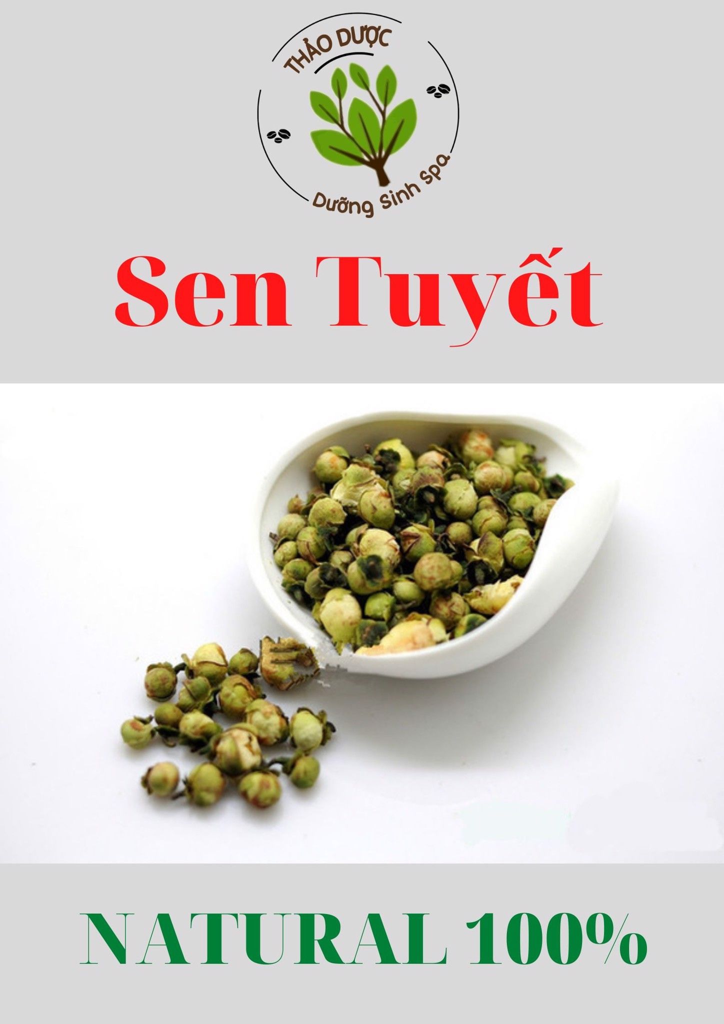 Sen Tuyết