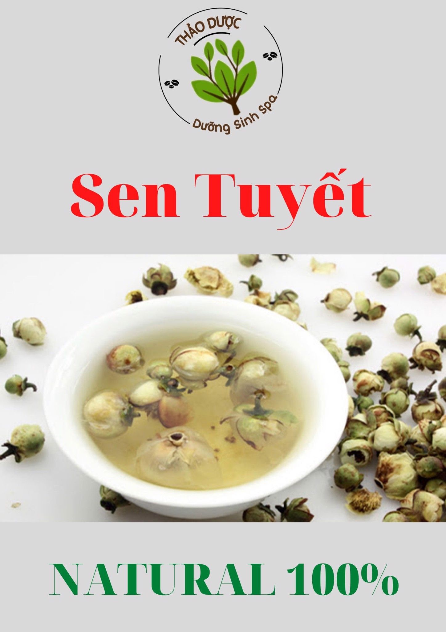 Sen Tuyết