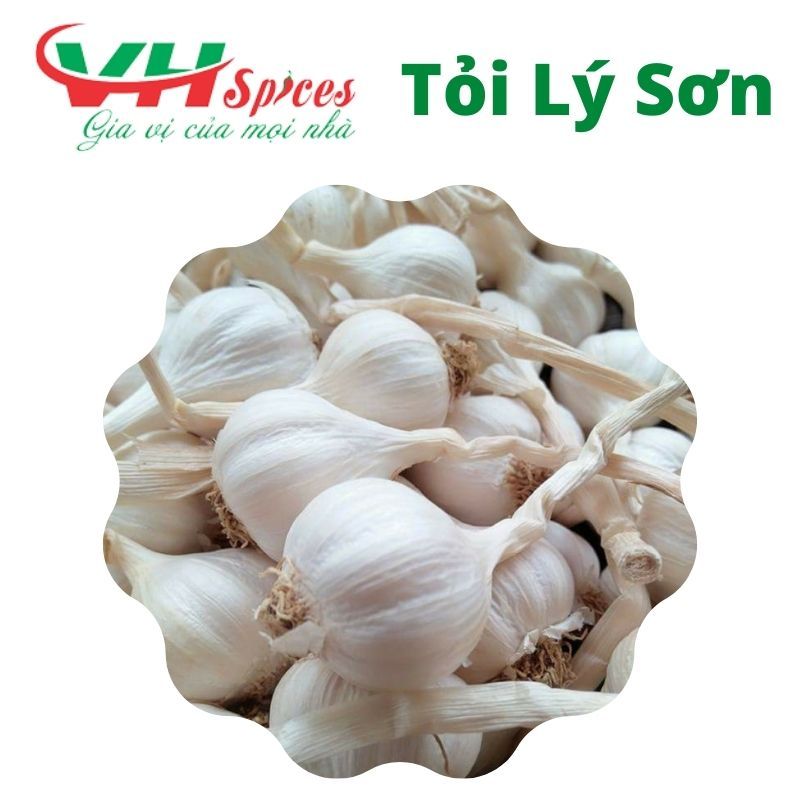  Tỏi Lý Sơn 