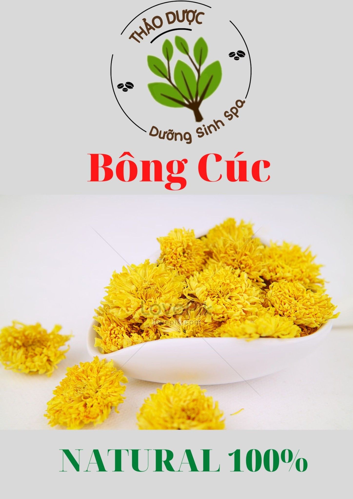 Bông Cúc