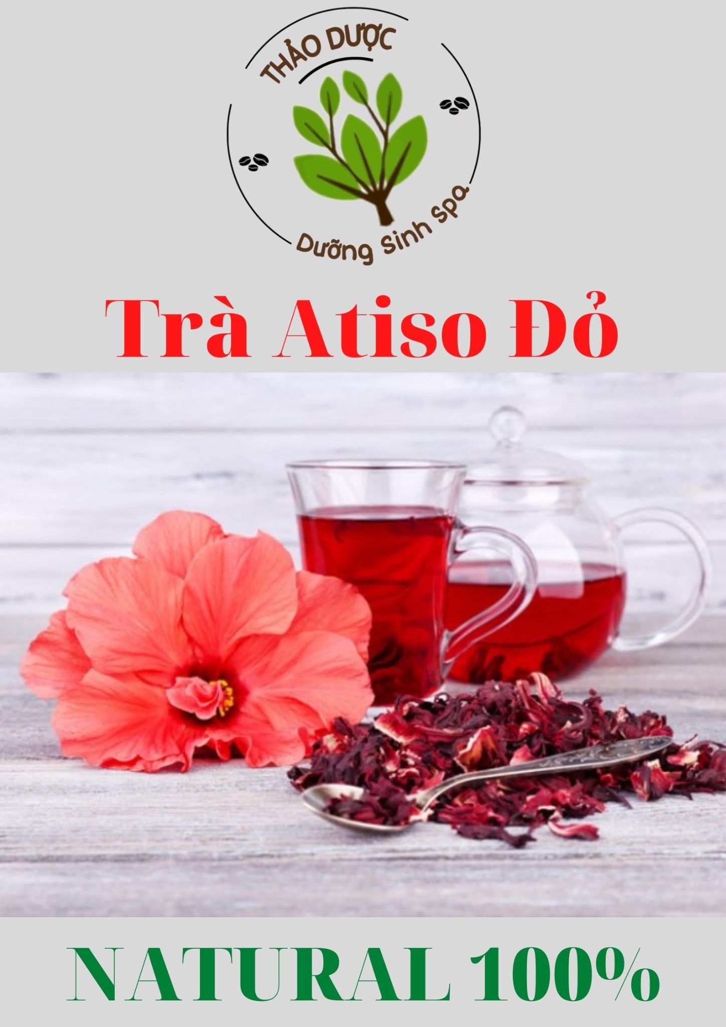 Trà Atiso Đỏ