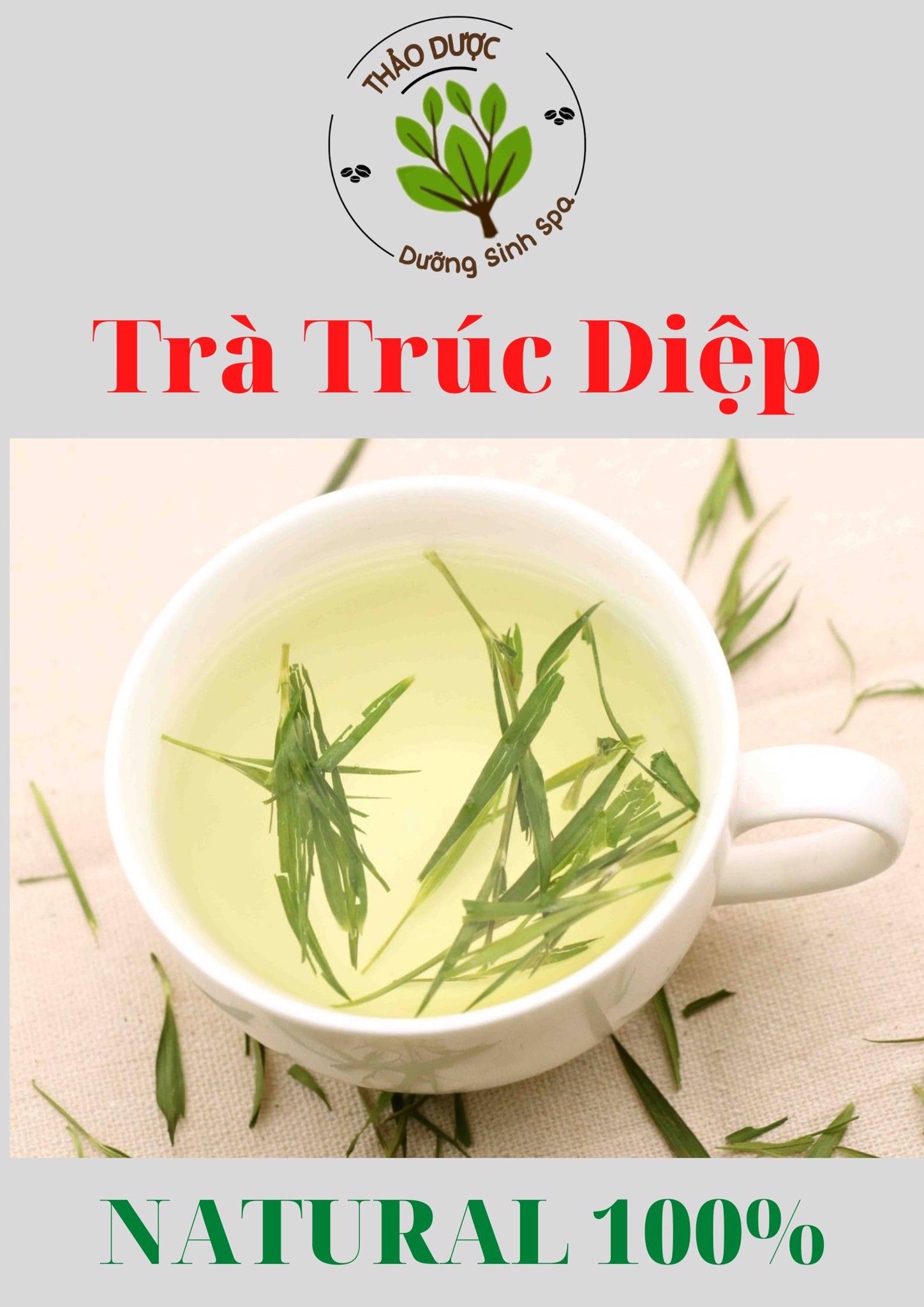 Trúc Diệp