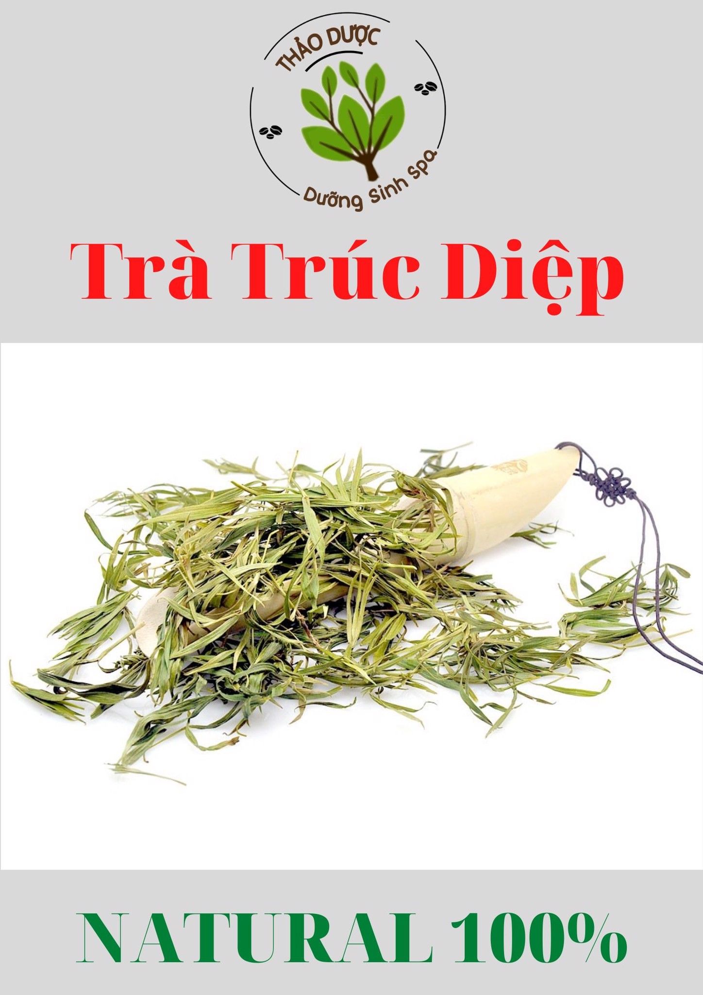Trúc Diệp