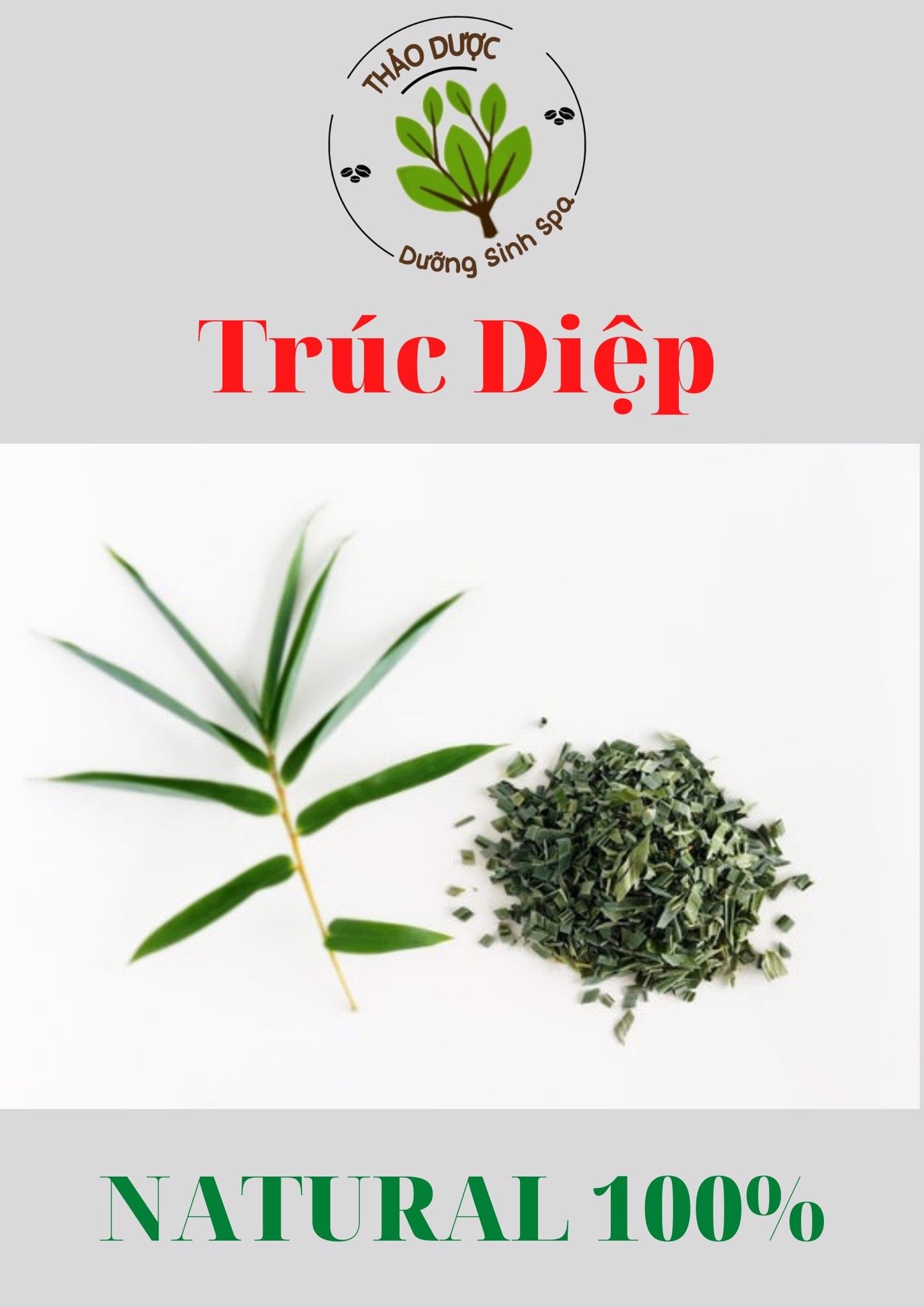 Trúc Diệp