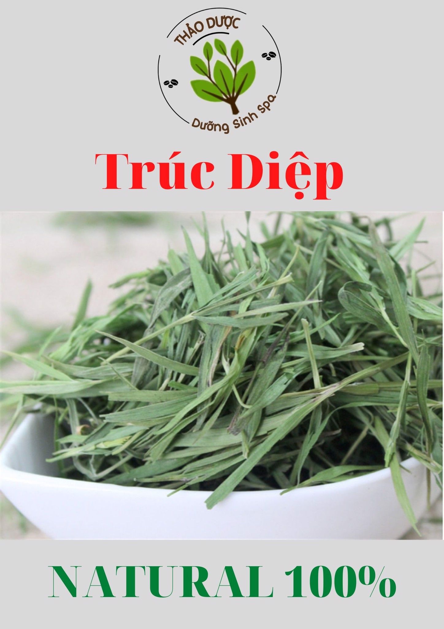 Trúc Diệp