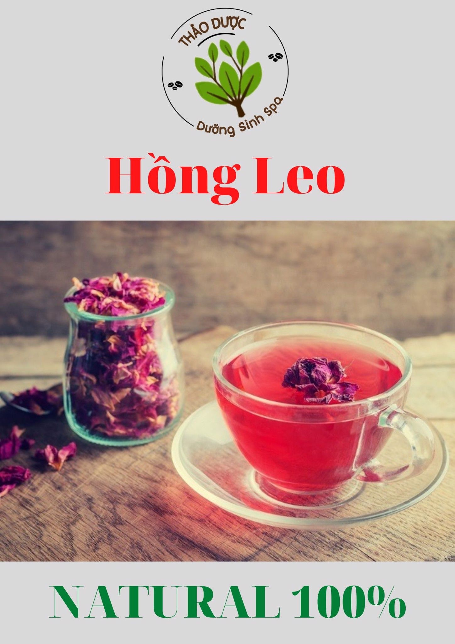 Hồng Leo