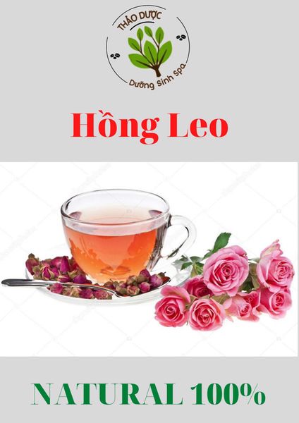 Hồng Leo