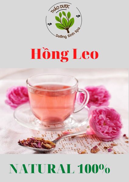 Hồng Leo