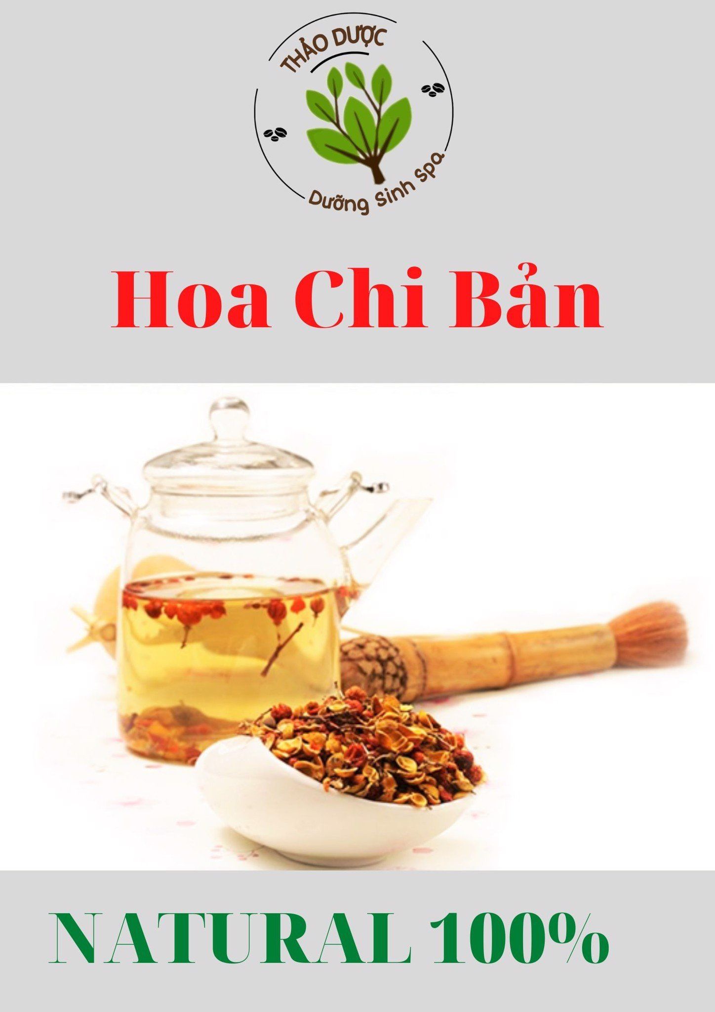 Hoa Chi Bản