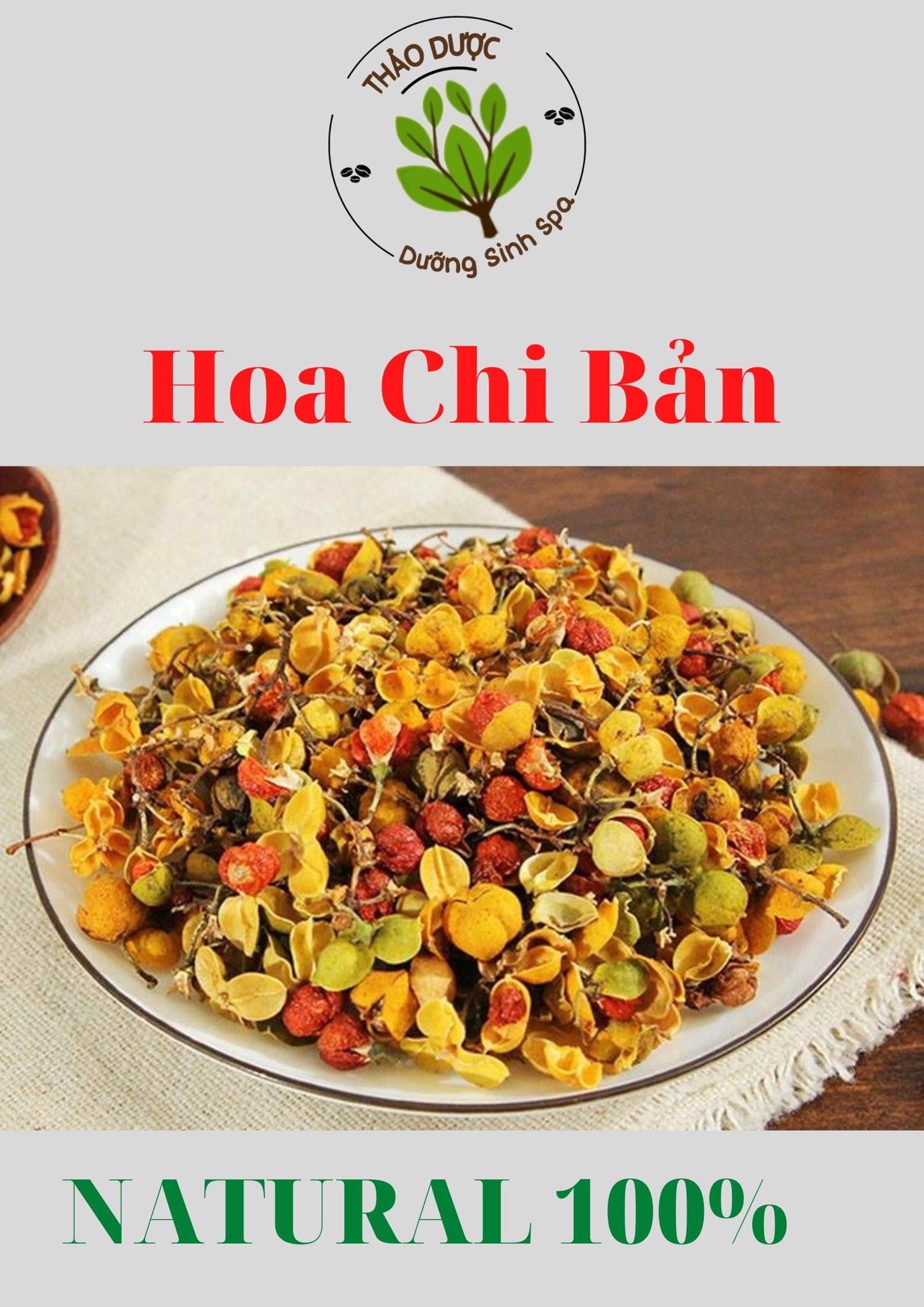 Hoa Chi Bản