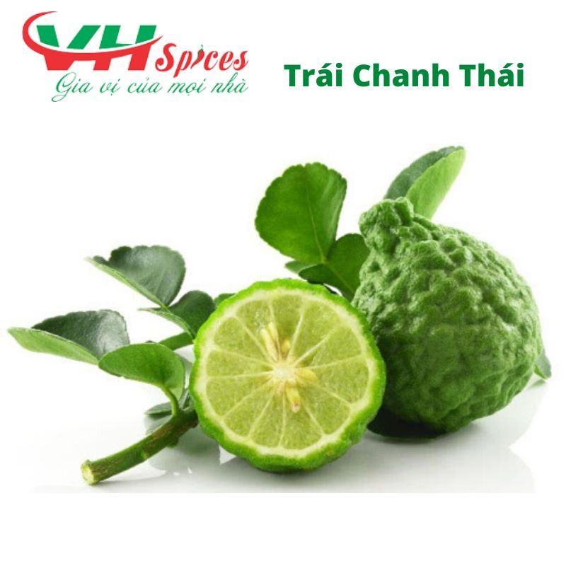 Trái Chanh Thái (Trái Chúc) Kaffir lime Tươi