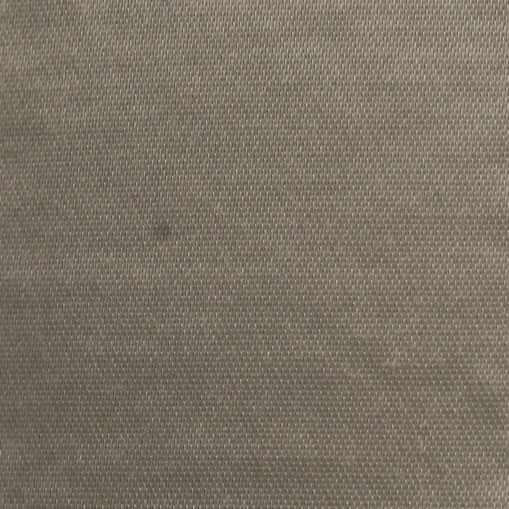 PARAGON- 1787/09- FOSSIL