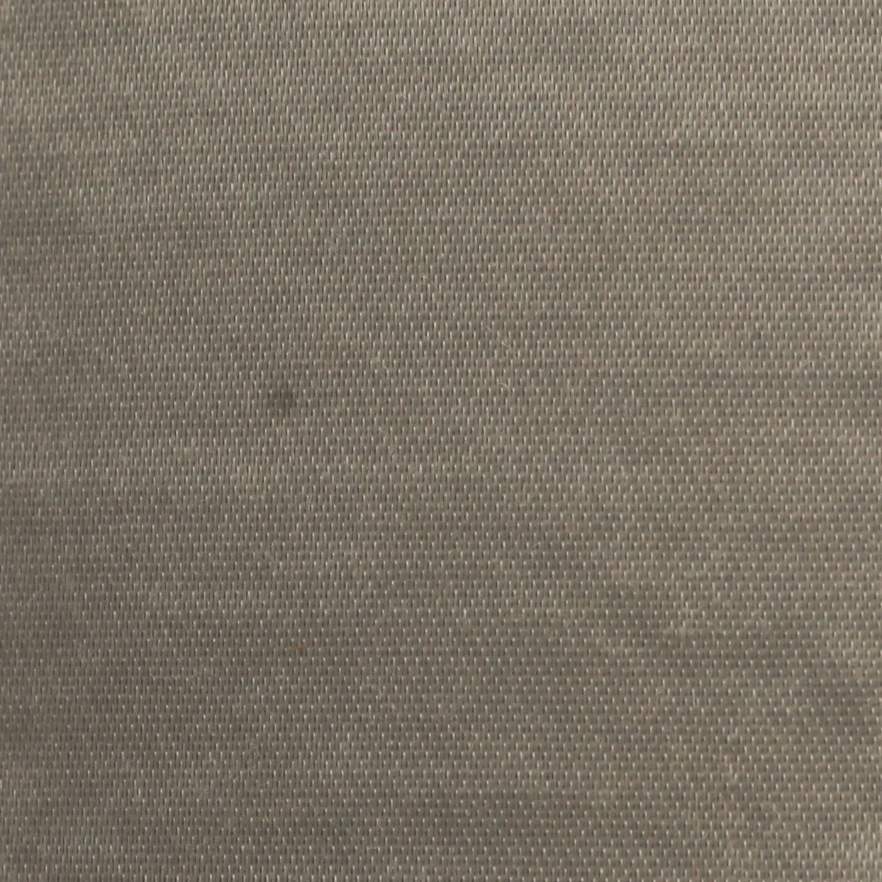 PARAGON- 1787/09- FOSSIL