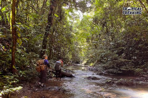 BORNEO EXPERIENCE - ADVENTURE