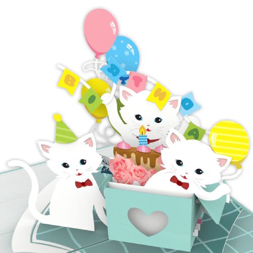 Thiệp Pop Up Chúc Mừng Sinh Nhật